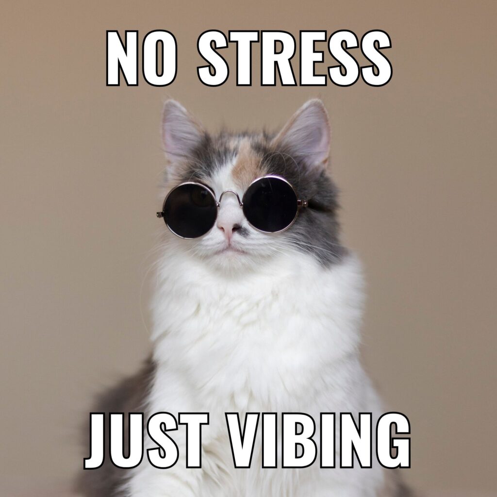 Meme: "No Stress. Just Vibing"